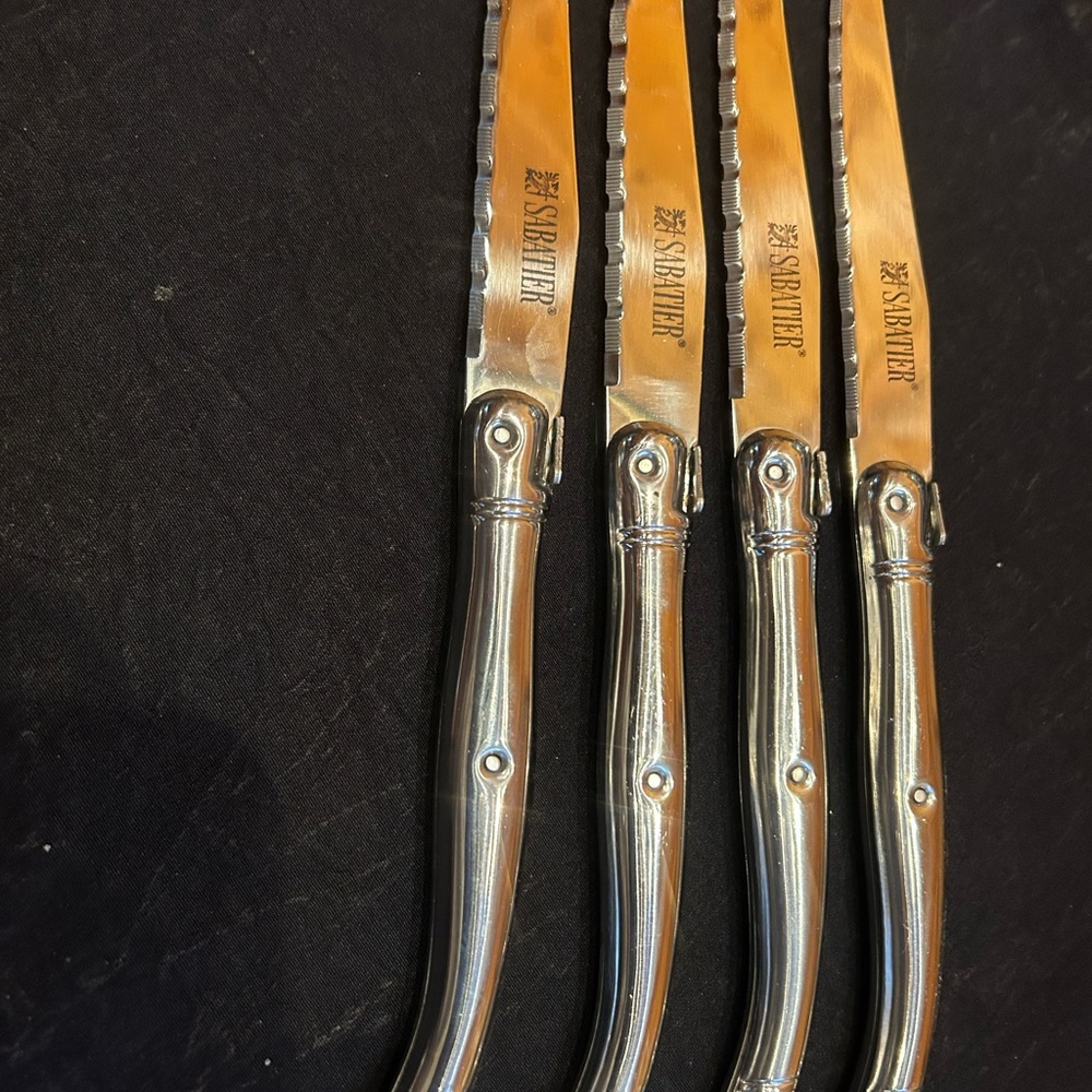 Stainless Steel Serrated Steak Knives - Silver Handle, Set of 4